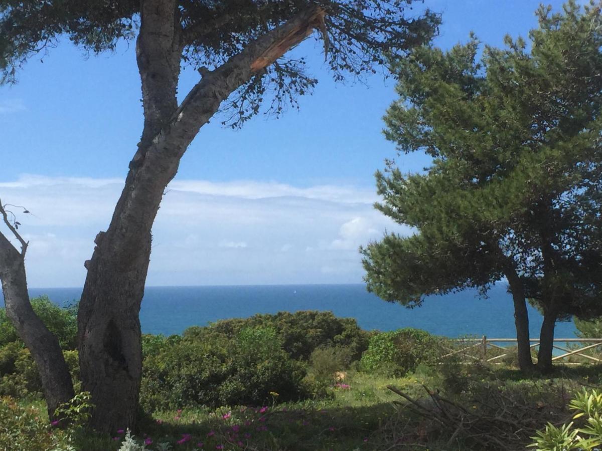 Carvoeiro Sol Seafront 아파트 외부 사진