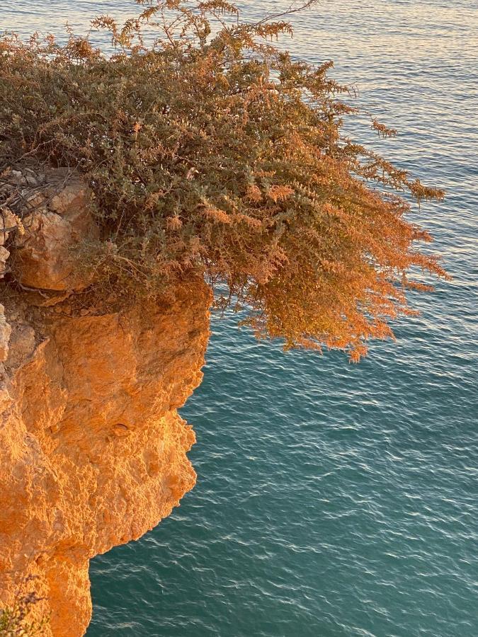 Carvoeiro Sol Seafront 아파트 외부 사진